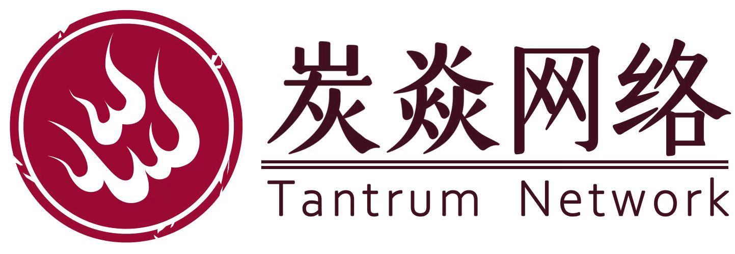 炭焱网络